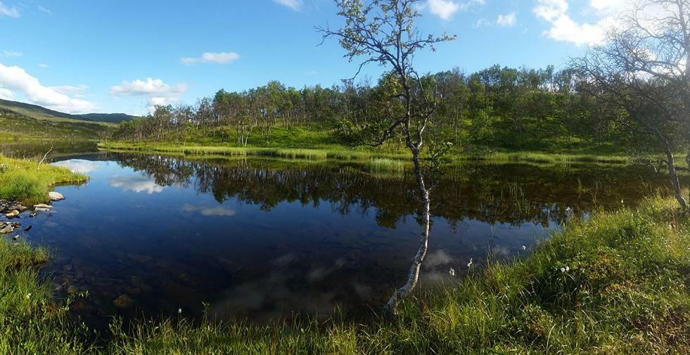 Вилла Mikkelvik Brygge Mikkelvika Экстерьер фото